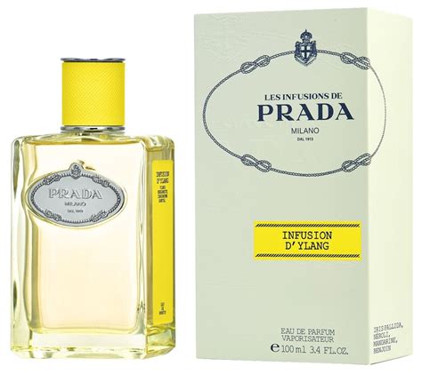 prada infusion 200ml|prada infusion d'ylang.